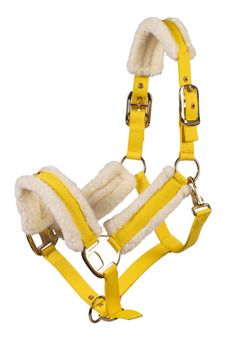 HKM Head Collar -Limone Elegant- #colour_lemon
