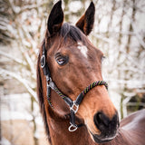 HKM Head Collar -Neonflash-