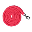 HKM Lead Rope -Glowline- with Snap Hook colour_pink
