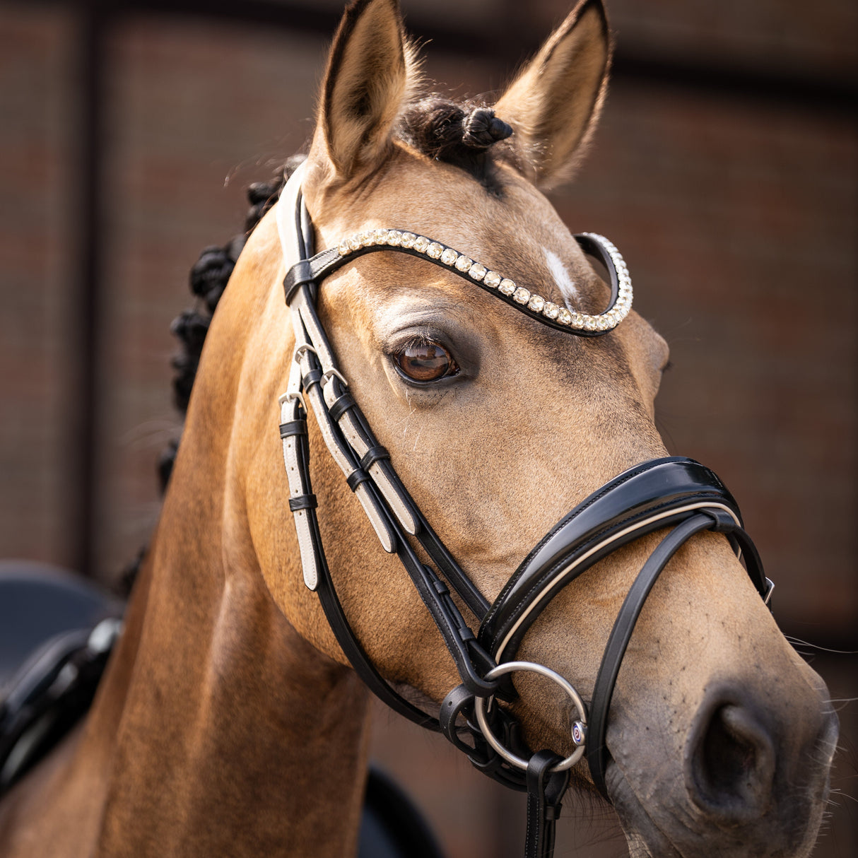 HKM Bridle -Limone Elegant-