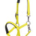 HKM Foal Head Collar -Millie- #colour_neon-yellow