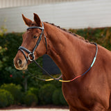 Dublin Rainbow Reins with Rubber Grip for Beginners