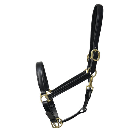 Coldstream Leather Padded Headcollar Brown