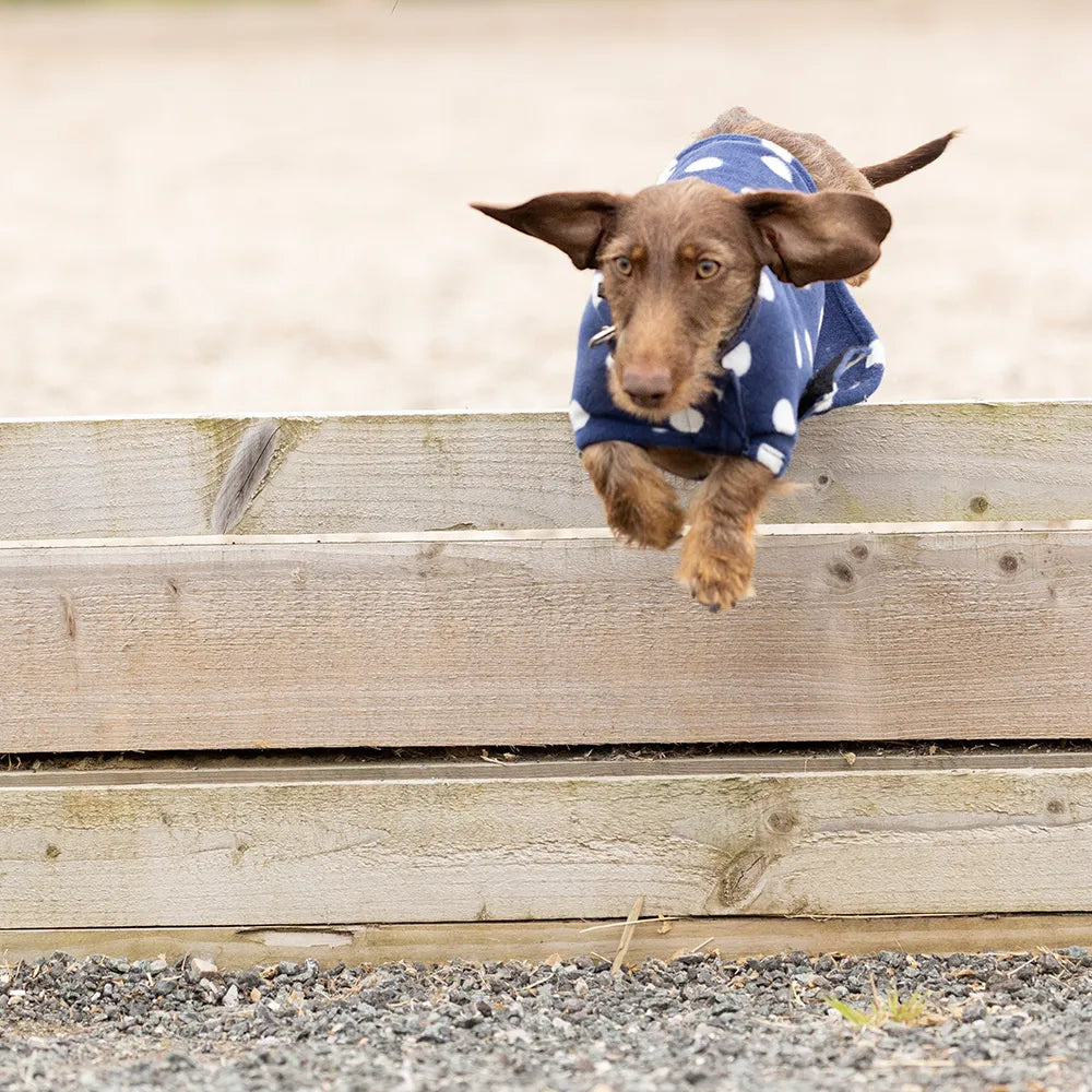 Supreme Products Dotty Fleece Dog Coat