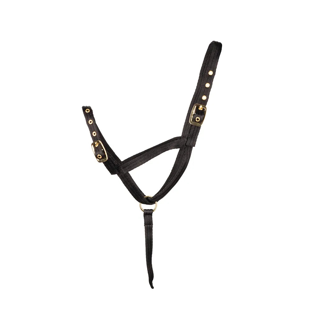 Hy Equestrian Foal Slip Halter #colour_black