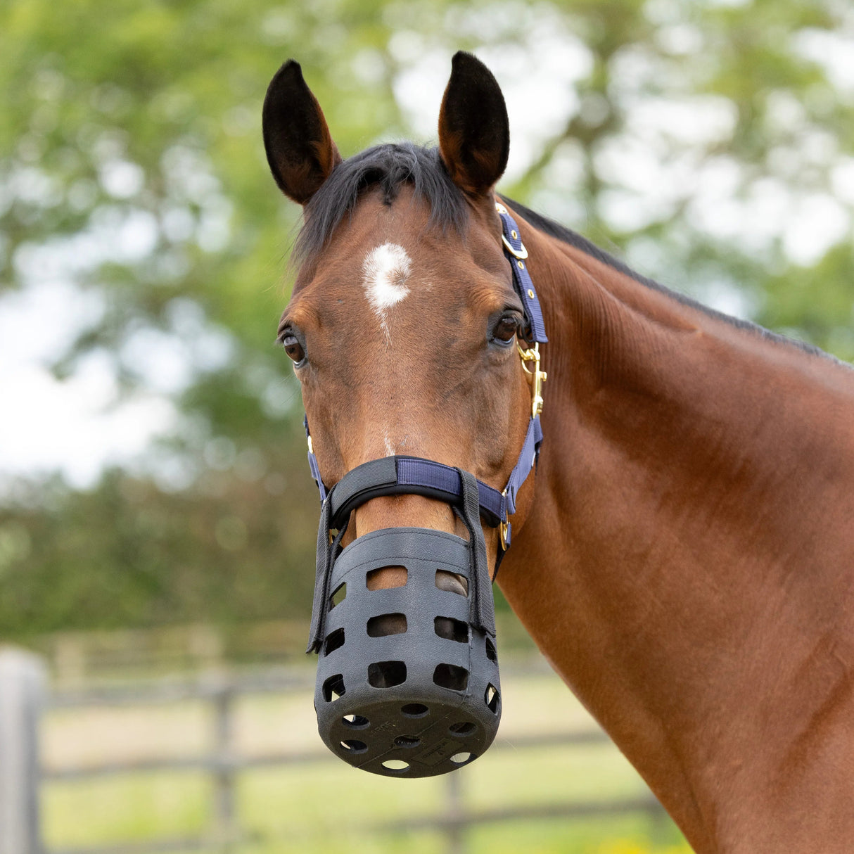 Hy Equestrian Rubber Muzzle