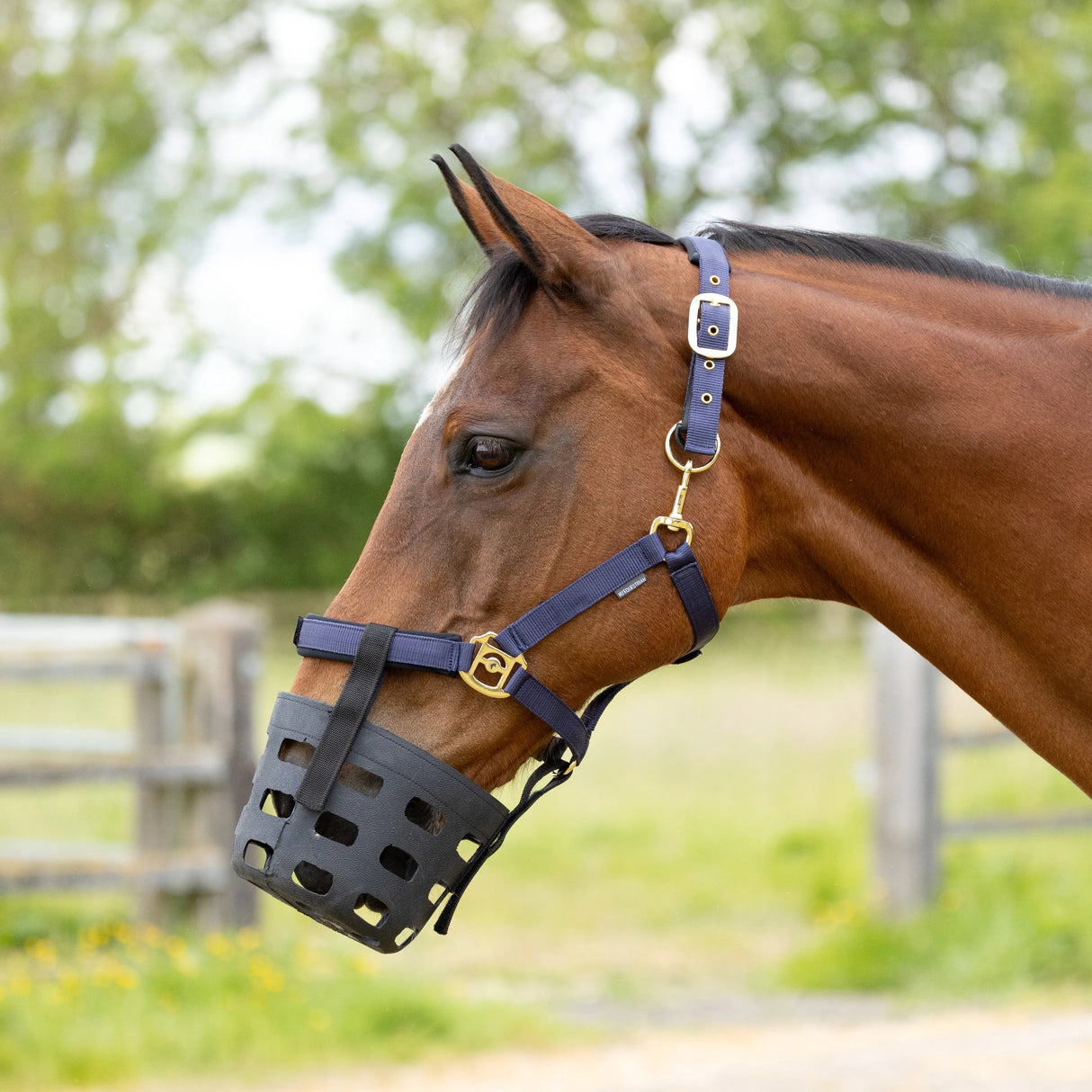 Hy Equestrian Rubber Muzzle