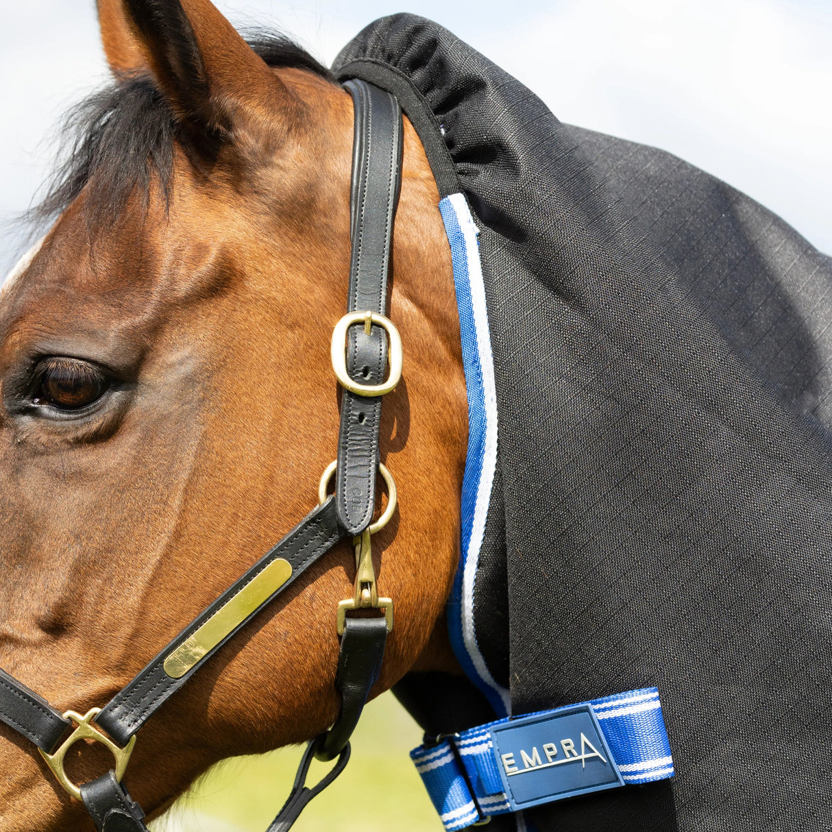 StormX Empra Extra 200g Turnout Rug with Detachable Neck