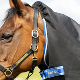 StormX Empra Extra 200g Turnout Rug with Detachable Neck