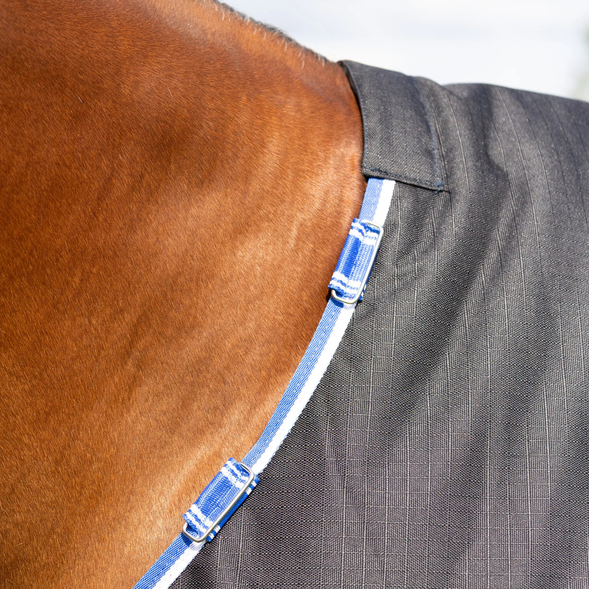 StormX Empra Extra 200g Turnout Rug with Detachable Neck