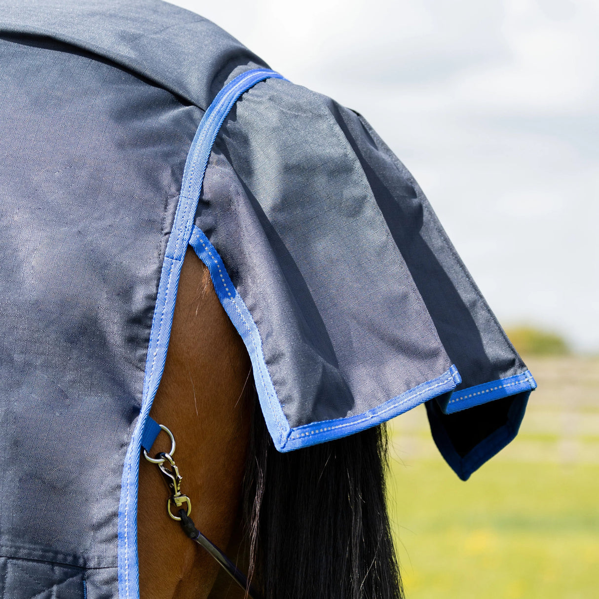 StormX Empra Reflect 0g Turnout Rug