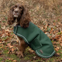 Benji & Flo LuxeSoft Dog Coat