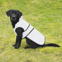 Benji & Flo Silva Reflective Dog Coat