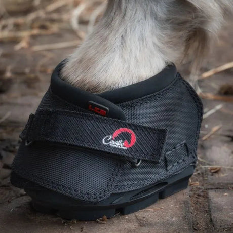 Cavallo Long Ear Boot For Donkeys #colour_black