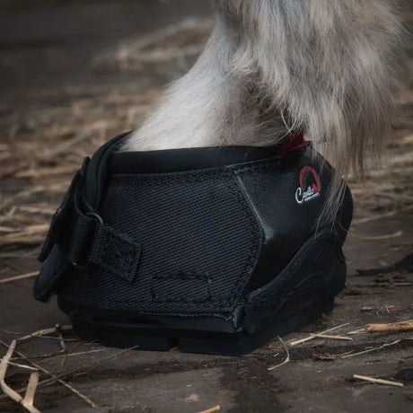 Cavallo Long Ear Boot For Donkeys #colour_black
