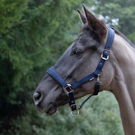 ProReaction Transform Head Collar by Hy Equestrian #colour_