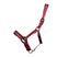 ProReaction Transform Head Collar by Hy Equestrian #colour_burgundy