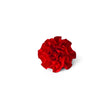 Supreme Products Class Act Carnation #colour_red