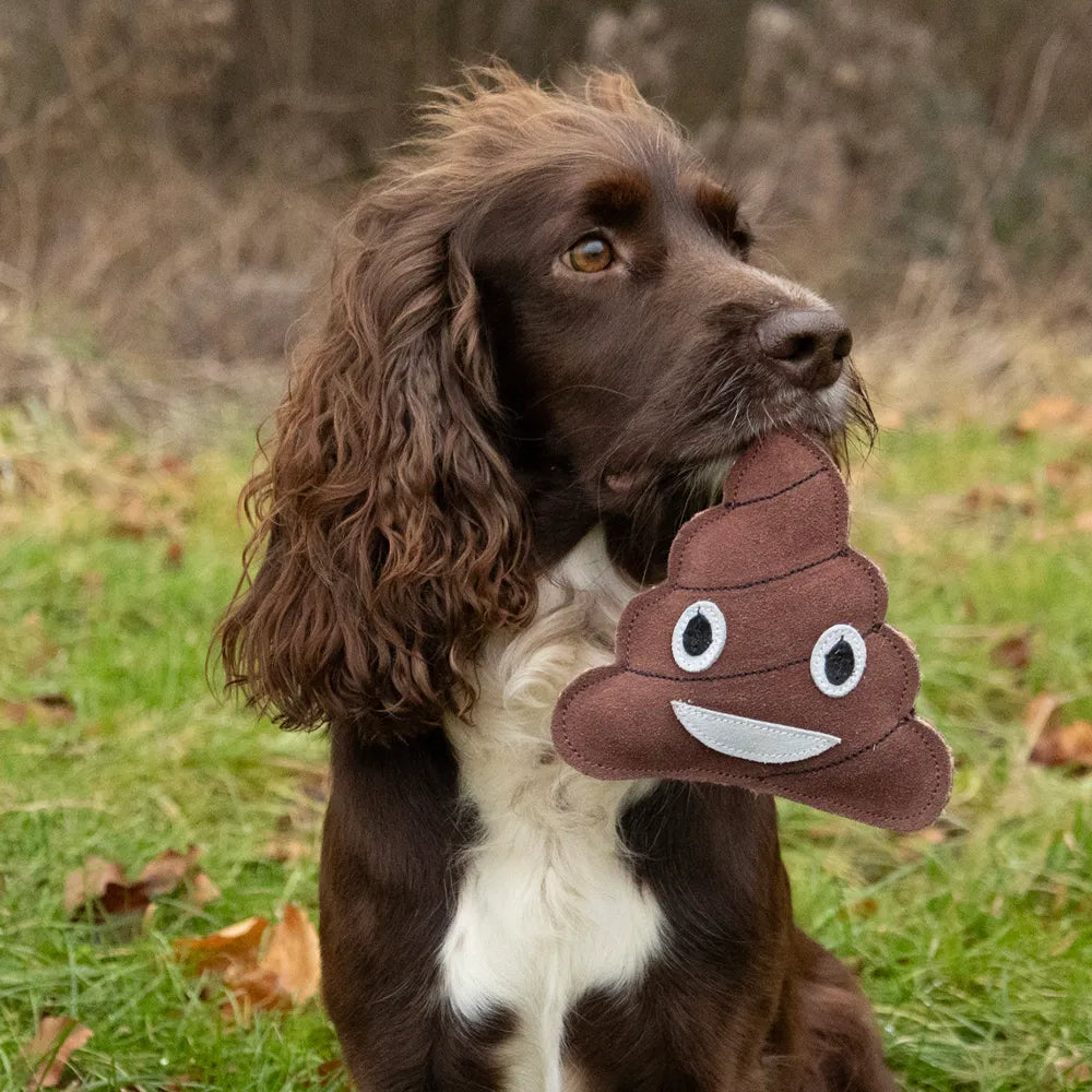 Benji & Flo Crazy Faces Dog Toys