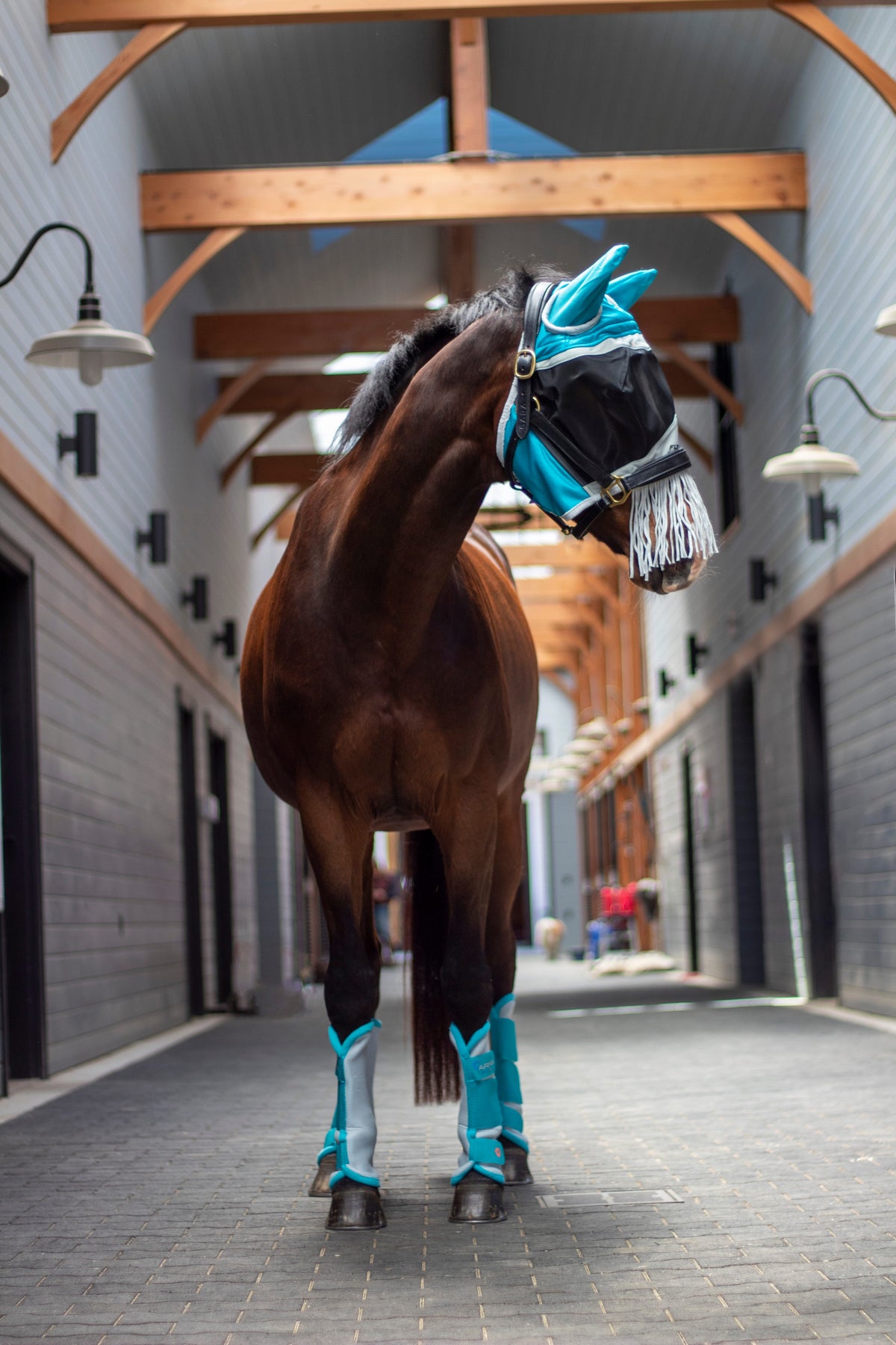 Shires ARMA Fly Boots