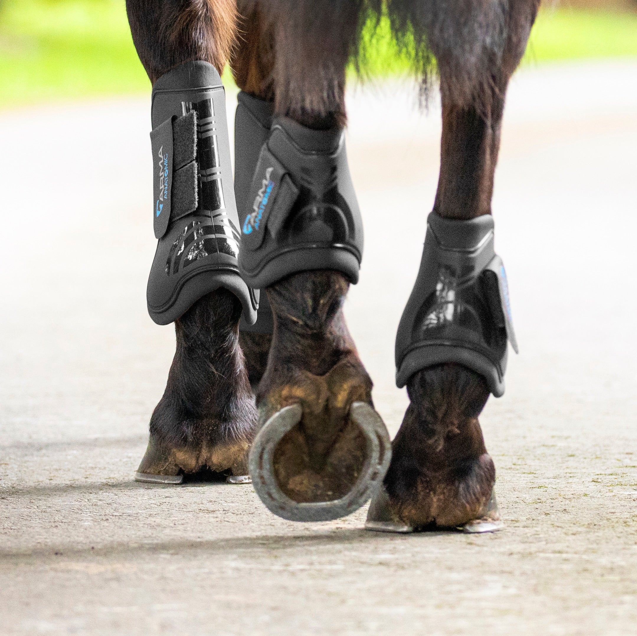 Tendon & Fetlock Boots | GS Equestrian