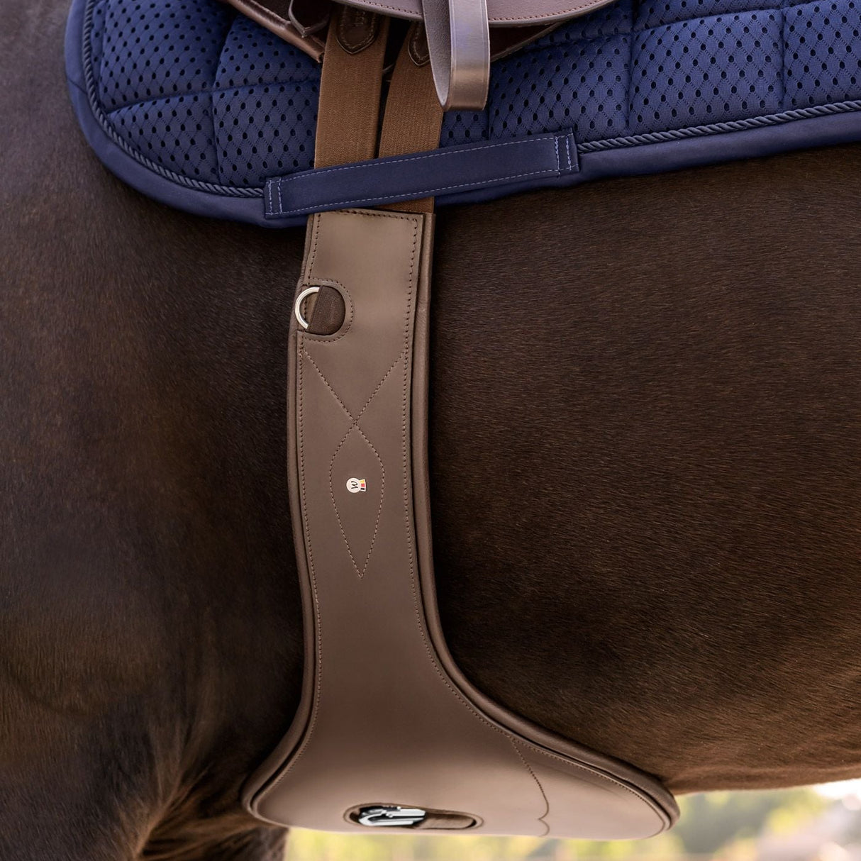 Waldhausen Leather Girth With Stud Guard #colour_brown