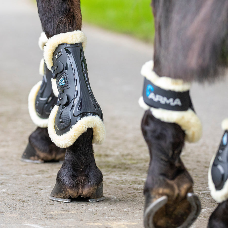 Shires ARMA Carbon Tendon Boots main image 0