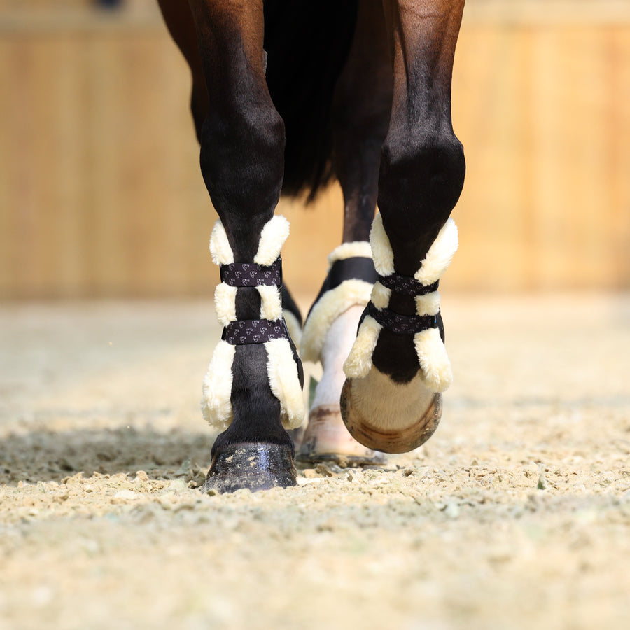Bottes De Brossage Shires ARMA Carbone – Taille COMPLETE (occasion)