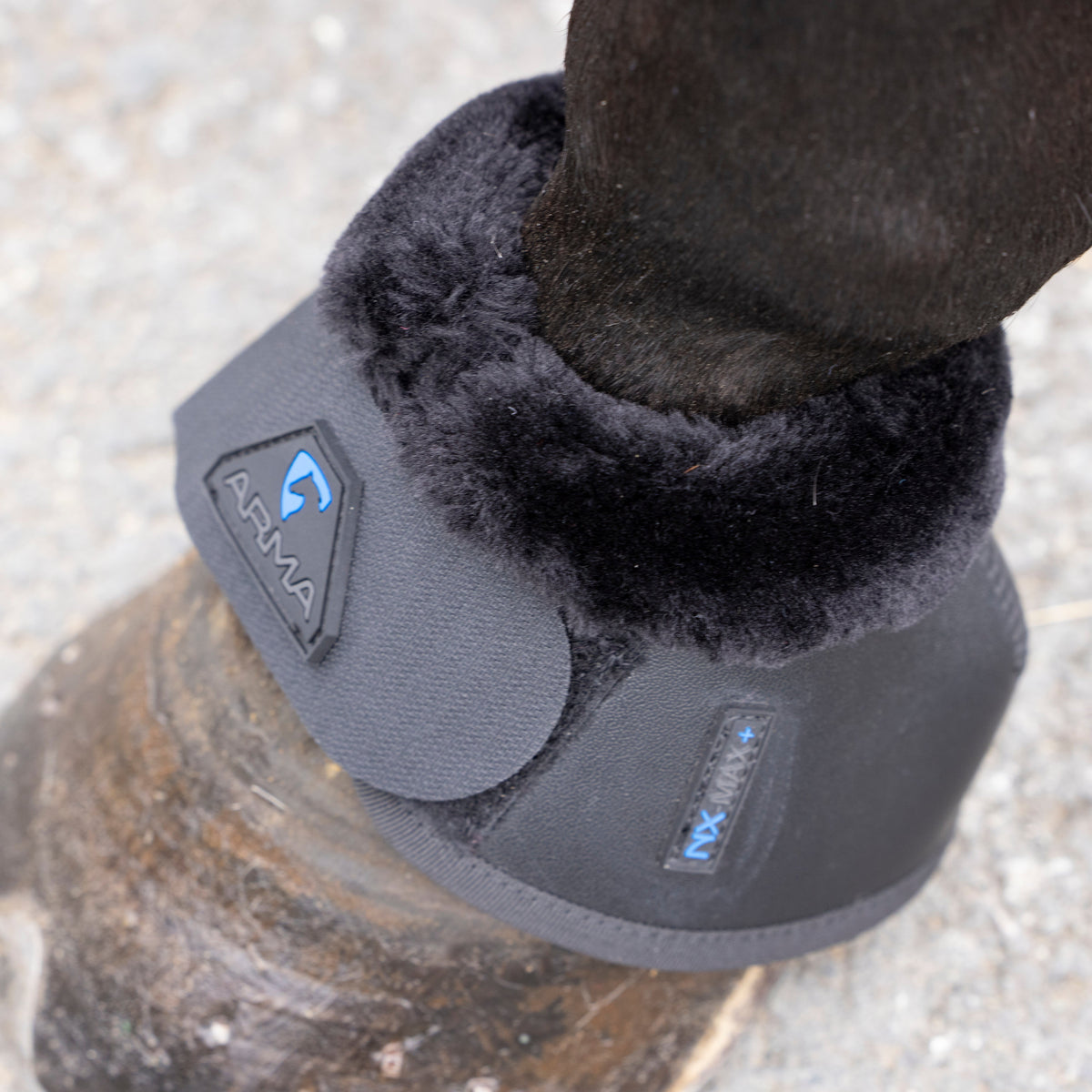 Bottes Shires ARMA Anatomic Comfort Over Reach