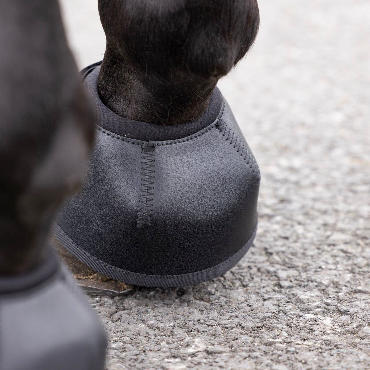 Shires ARMA Anatomic Over Reach Boots