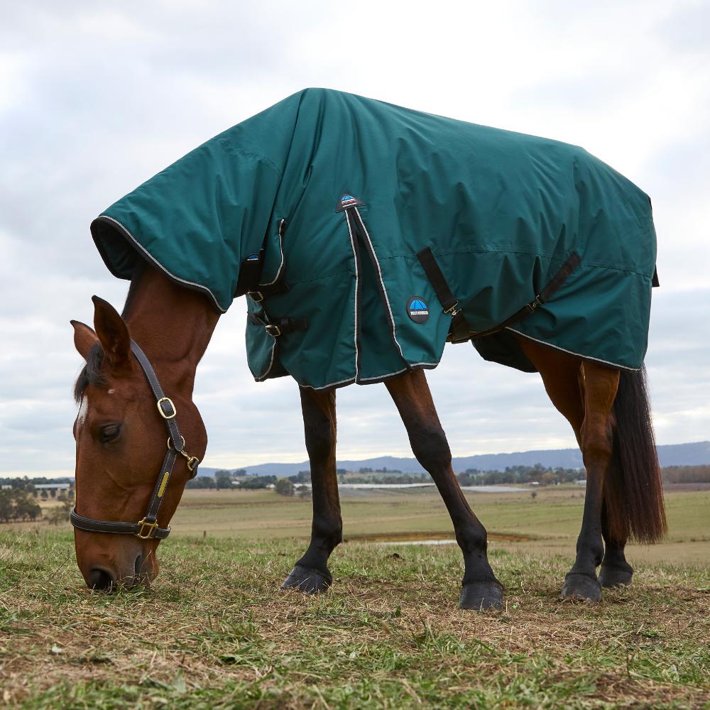 Weatherbeeta Comfitec Classic 220G Combo Turnout #colour_forest-green-black