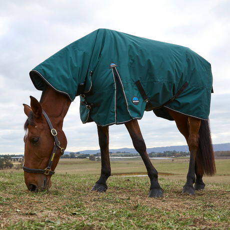 Weatherbeeta Comfitec Classic 50G Combo Turnout #colour_forest-green-black