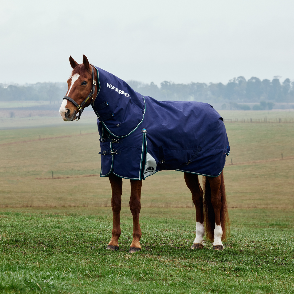 Weatherbeeta Comfitec Plus Dynamic 0G Detach-A-Neck Turnout #colour_navy-forest-green