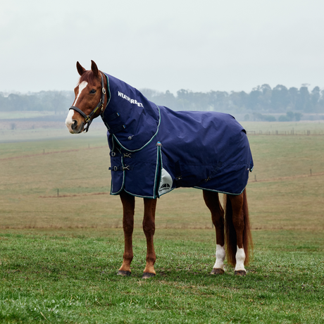 Weatherbeeta Comfitec Plus Dynamic 0G Detach-A-Neck Turnout #colour_navy-forest-green