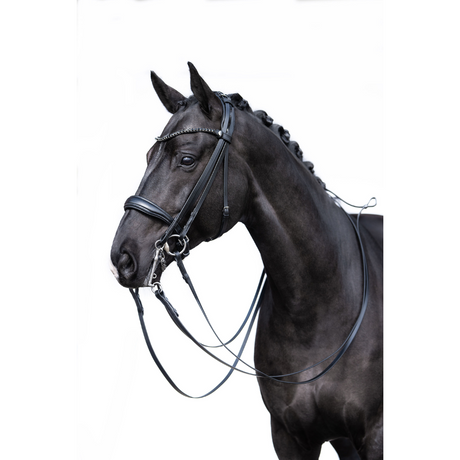 HKM Double Bridle -Grace- #colour_black