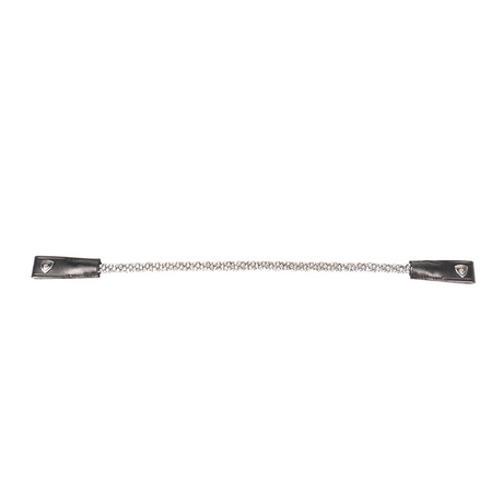 ProPresicce Signature Crystal Diamante Browband by Hy Equestrian #colour_silver
