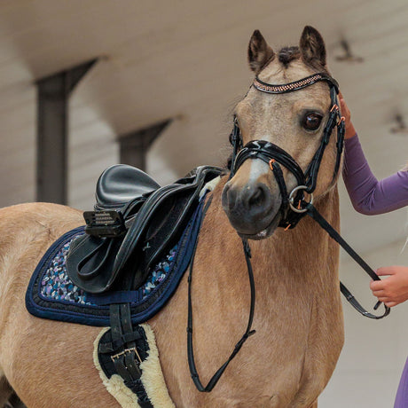 Imperial Riding Petit Bridle #colour_black-rose