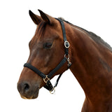 Dublin Braided Leather Padded Horse Headcollar