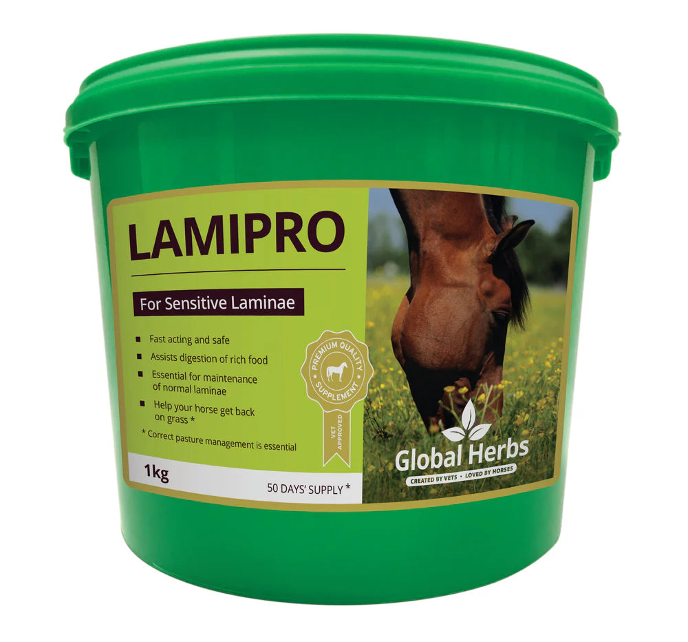 Poudre LamiPro de Global Herbs