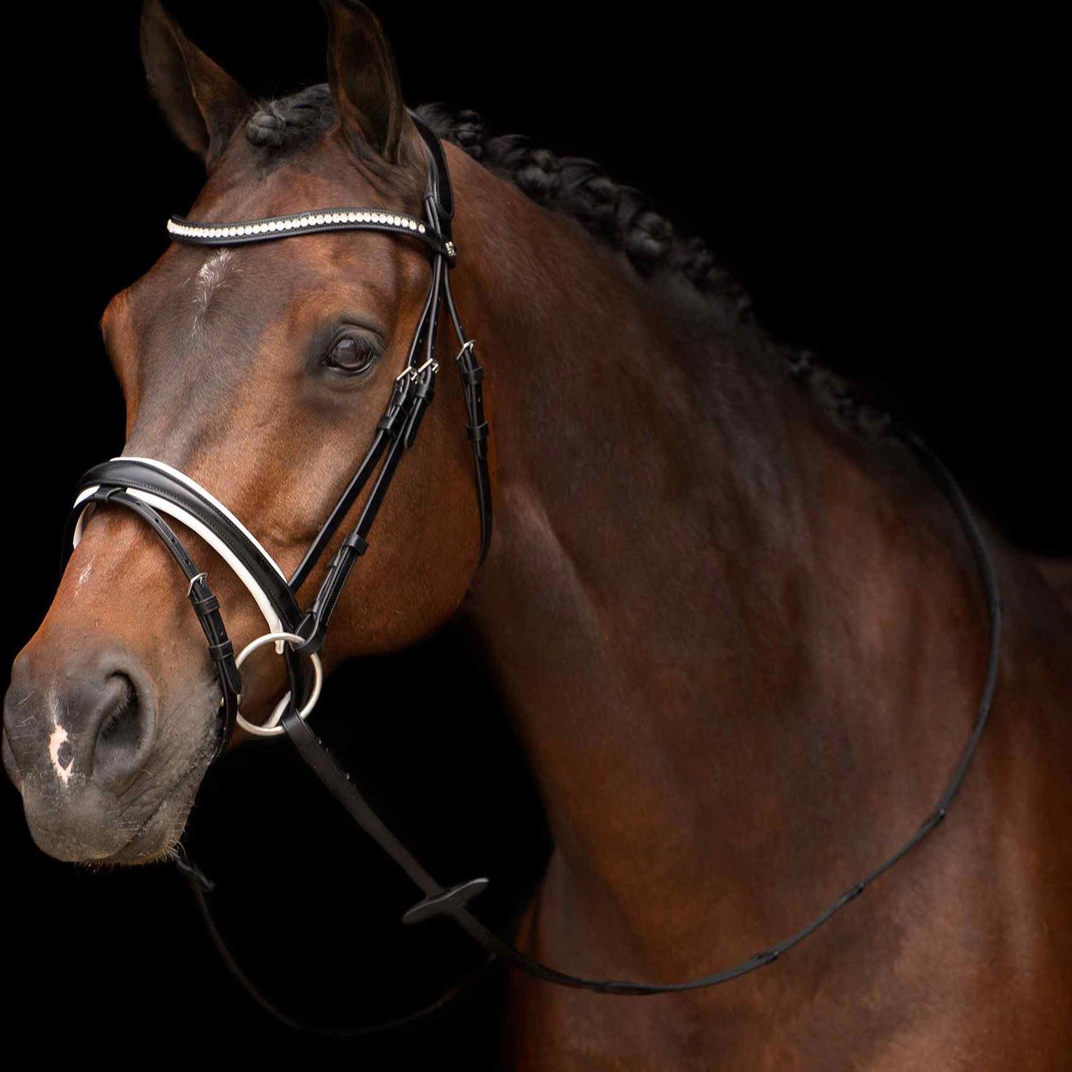 HV Polo Legacy Deluxe Bridle