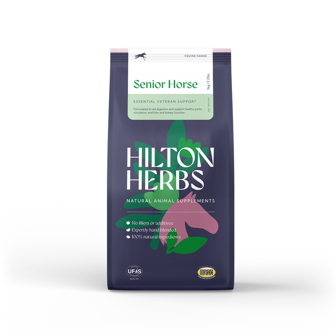 Hilton Herbs Senior Horse Supplement