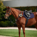 Dublin 5-Point Event Leather Breastplate with Sheepskin Pad