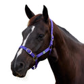Dublin Everyday Nylon Headcollar for Horses