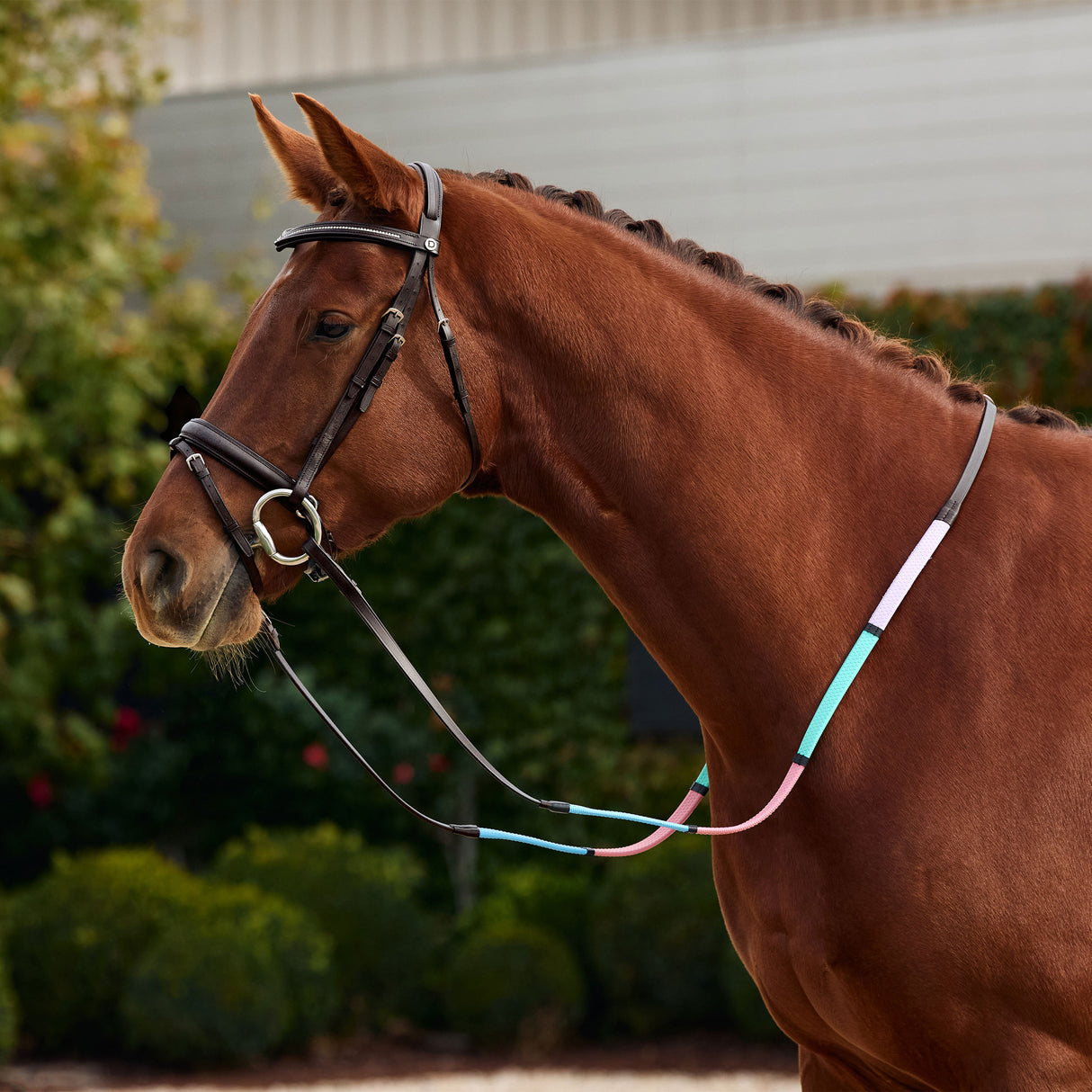 Dublin Pastel Rainbow Reins with Rubber Grip for Beginners