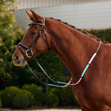Dublin Pastel Rainbow Reins with Rubber Grip for Beginners