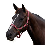 Dublin Everyday Nylon Headcollar for Horses