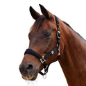 Dublin Neo Comfort Padded Neoprene Horse Headcollar