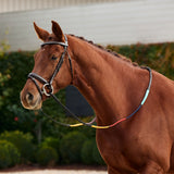 Dublin Rainbow Reins with Rubber Grip for Beginners