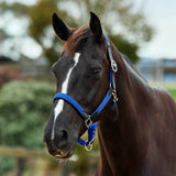 Dublin Braided Leather Padded Horse Headcollar