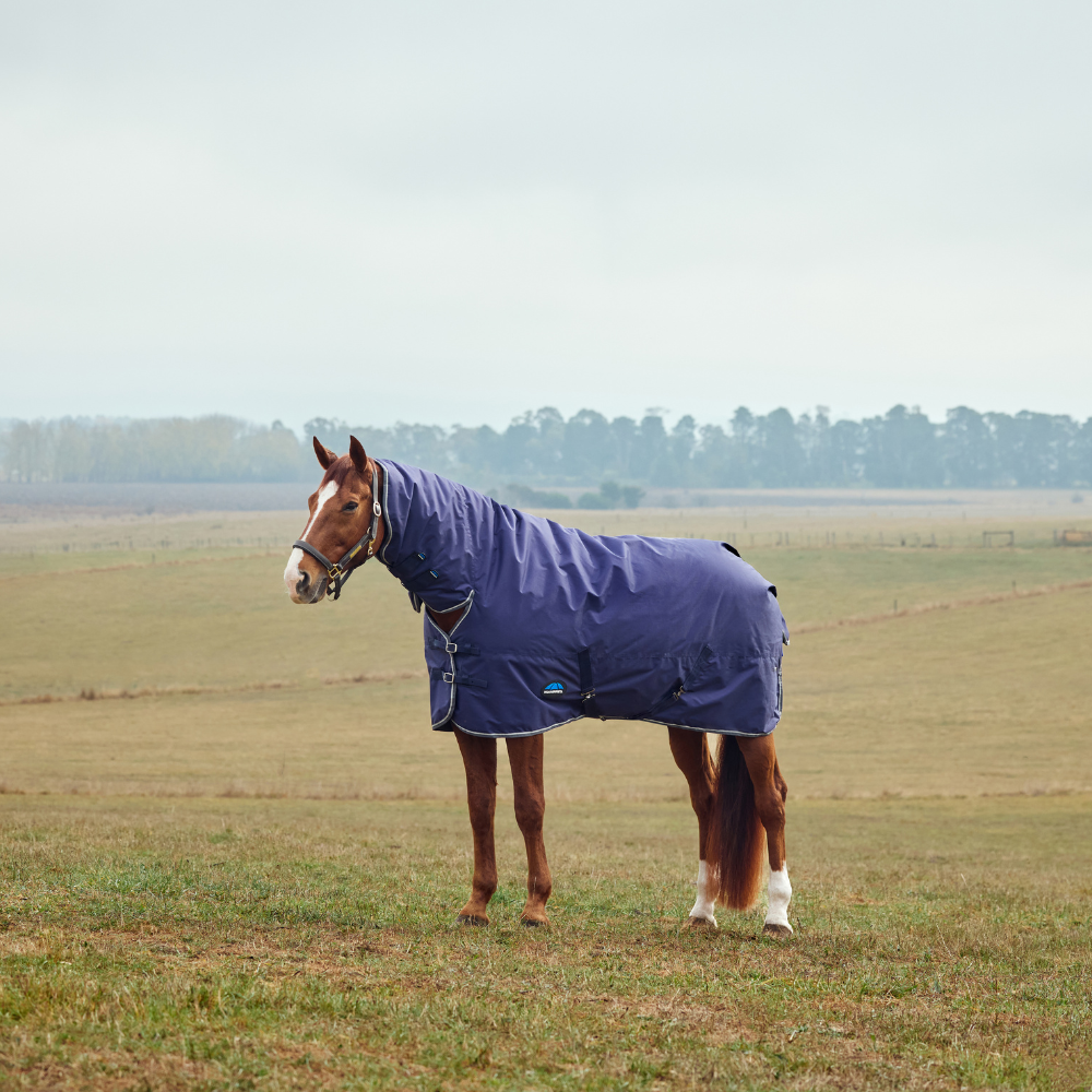 Weatherbeeta Comfitec Tyro 360G Combo Neck Turnout #colour_navy-charcoal
